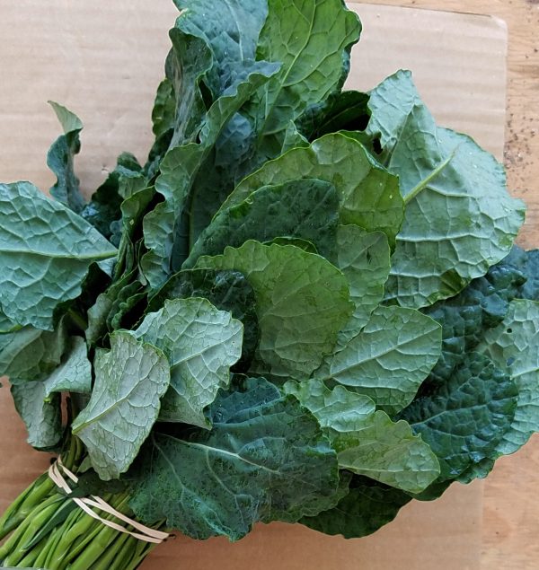 Kale, lacinato Supply