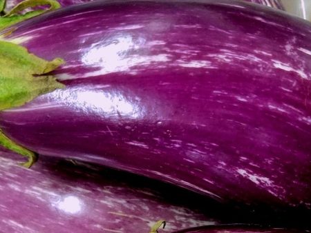 eggplant, baby graffiti on Sale