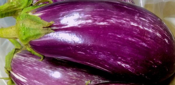 eggplant, baby graffiti on Sale