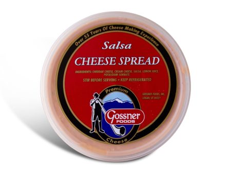 Salsa Cheese Spread For Sale