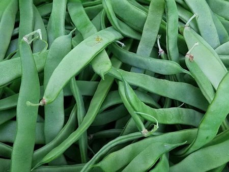 Beans, Nor Easter Cheap