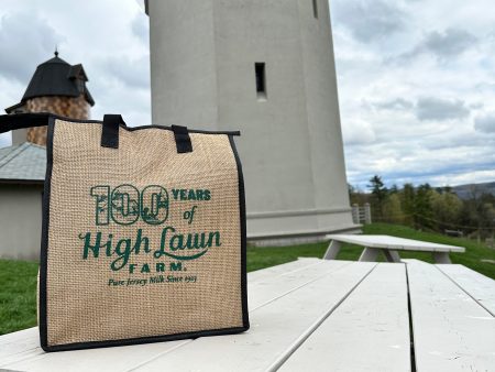 100 Year Small Jute Cooler Bag Online Sale