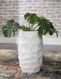 Patenleigh Vase Discount