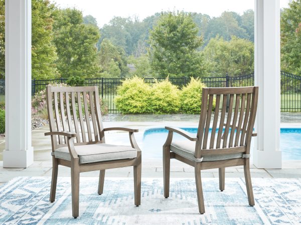 Rainier Ranch Outdoor Arm Chair with Cushion (Set of 2) Supply