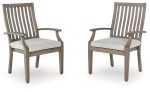 Rainier Ranch Outdoor Arm Chair with Cushion (Set of 2) Supply