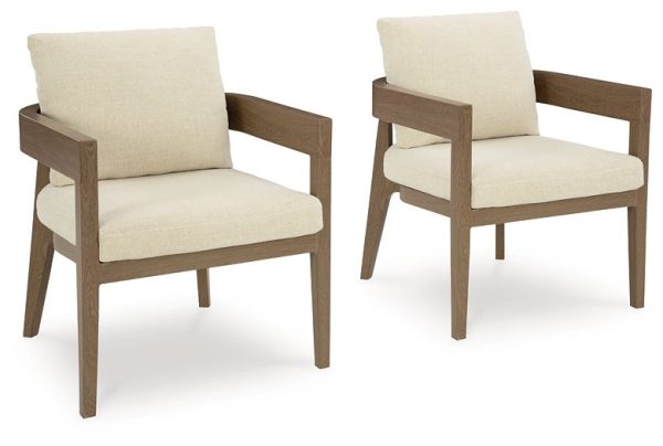 Serene Bay Outdoor Dining Arm Chair with Cushion (Set of 2) For Cheap