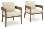 Serene Bay Outdoor Dining Arm Chair with Cushion (Set of 2) For Cheap