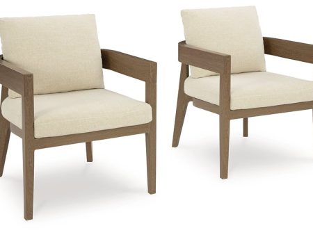 Serene Bay Outdoor Dining Arm Chair with Cushion (Set of 2) For Cheap