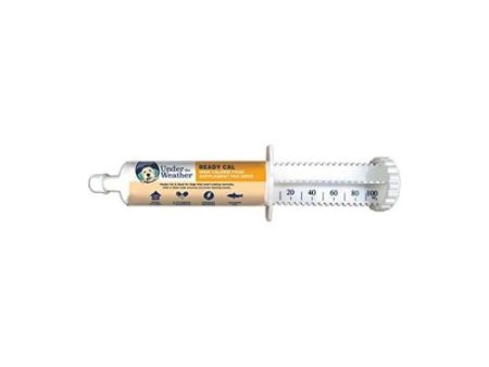 Under The Weather Ready Cal Tube For Dogs 100CC (1 Count) by Under The Weather For Discount