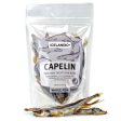 Icelandic+ Capelin Whole Fish 2.5 Oz by Icelandic+ Online Sale