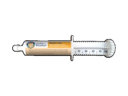 Under The Weather Ready Cal Tube For Cats 100CC (1 Count) by Under The Weather Online Hot Sale